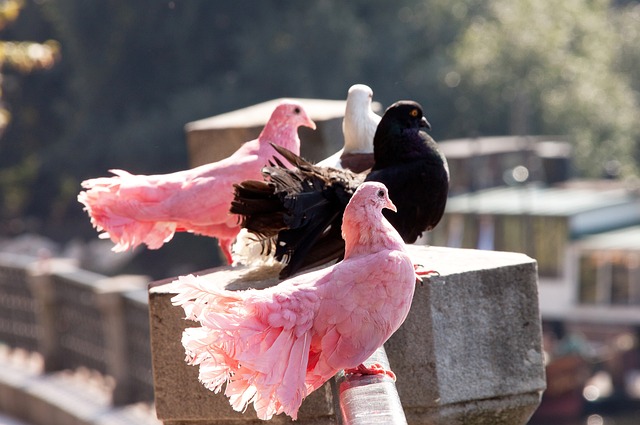 线带来不小 线带来不小
