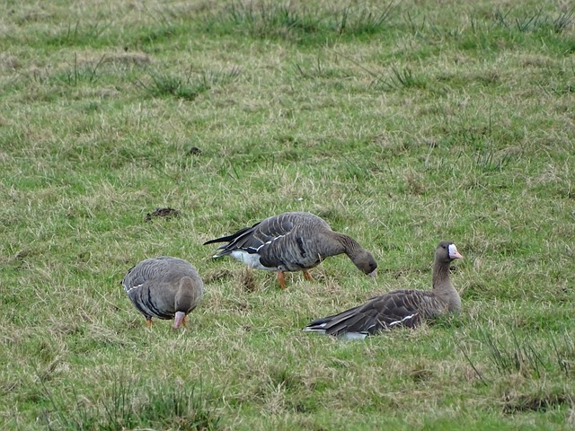 持续发展模 持续发展模